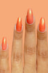 BIRD OF PARADISE NAIL POLISH